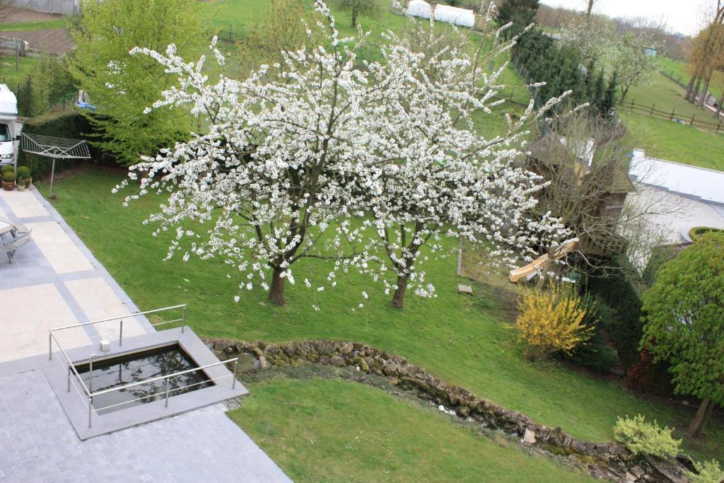 Hotel Gasthof Kapelhof Erpe-Mere Luaran gambar